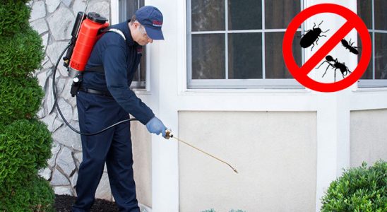 Altıntaş Hamam Böceği İlaçlama böcek ilaçlama ve haşere kontrolü — ilaclama-tr.com
